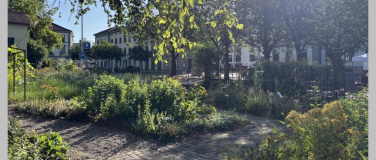 Event-Image for 'Heilsalben selbst herstellen'