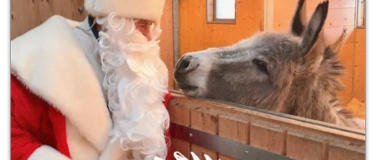 Event-Image for '2. BASLER HOOF WIENACHTS MÄÄRT - Ethikhof für Tiere in Not'