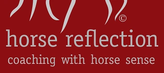 Event organiser of Horse Brain Science Seminar mit Dr. Steve Peters