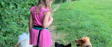 Event-Image for 'Lerne den sicheren Umgang mit Hunden, Gruppe 1 (3006 Bern)'