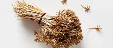 Event-Image for 'Hutmania Vom Stroh zum Hut'