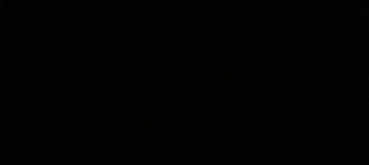 Event organiser of Bal des tulipes essai 1