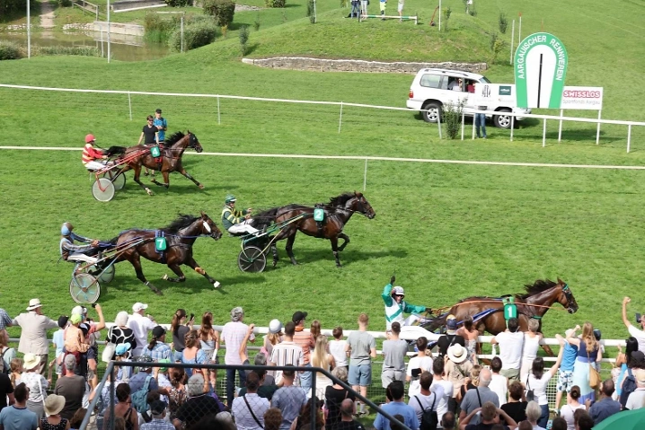 ARV Pferderennen 2025, 4. Renntag (GP der Schweiz) Pferderennbahn Schachen, Schwimmbadstrasse 18, 5000 Aarau Tickets