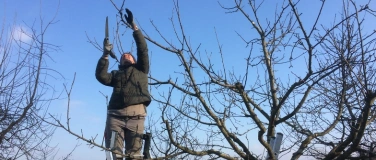 Event-Image for 'KURS &laquo;EINF&Uuml;HRUNG IN DEN OBSTBAUMSCHNITT&raquo;'
