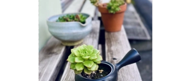 Event-Image for 'Japanische Teekultur'