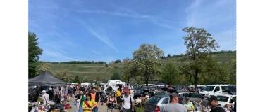 Event-Image for 'W&uuml;rzburger Flohmarkt auf der Mainwiese'