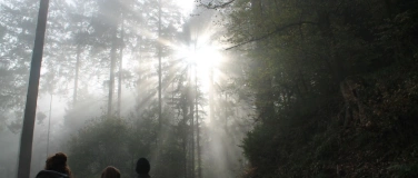 Event-Image for 'Naturworkshop zum Fr&uuml;hlingsanfang'