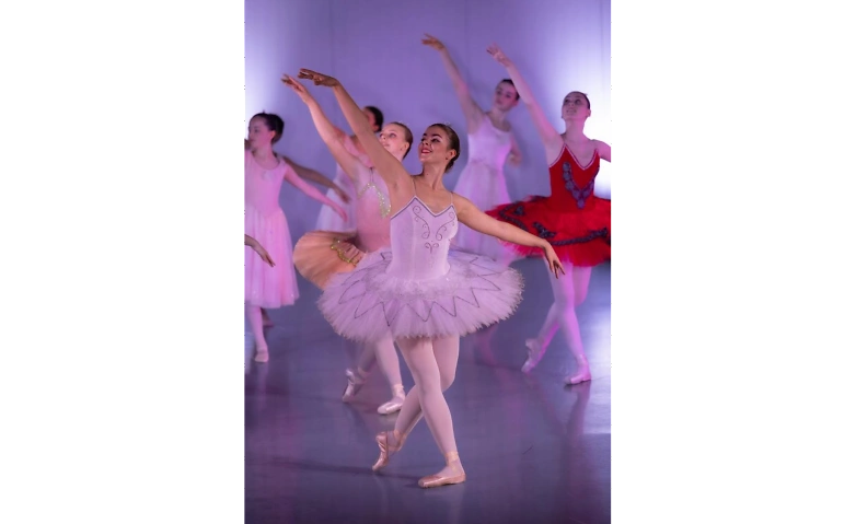 Event-Image for 'Ballettvorstellung zum Schuljahresende / ballet performance'