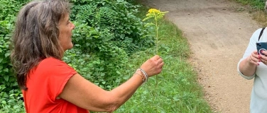 Event-Image for 'Kr&auml;uterspaziergang in Niederlenz'