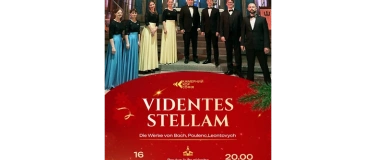 Event-Image for 'Videntes stellam'