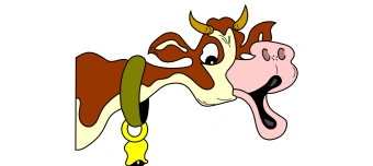 Veranstalter:in von 18. Showtanzfestival