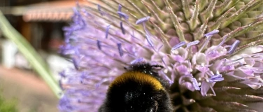 Event-Image for 'Permakultur Gartenkurs im Herbst'