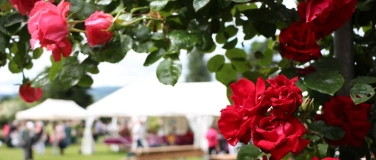 Event-Image for 'Rosenfest mit Handwerkskunstmarkt'