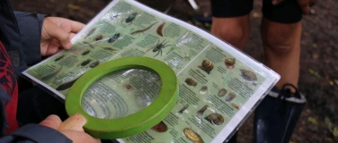 Event-Image for 'Familien-Waldtag'