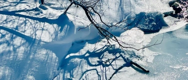 Event-Image for 'A Winter Shake - TRE  Tension, Stress and Trauma Release'