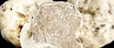 Event-Image for 'Tr&uuml;ffel - Tavolata "Wine&Dine"'