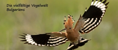 Event-Image for 'Die vielf&auml;ltige Vogelwelt Bulgariens'