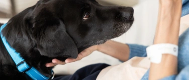 Event-Image for 'Intensivstation: Die Helferin auf vier Pfoten'