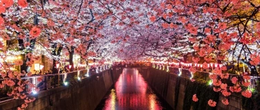 Event-Image for 'Japanisch schnuppern: Sprache & Schrift'