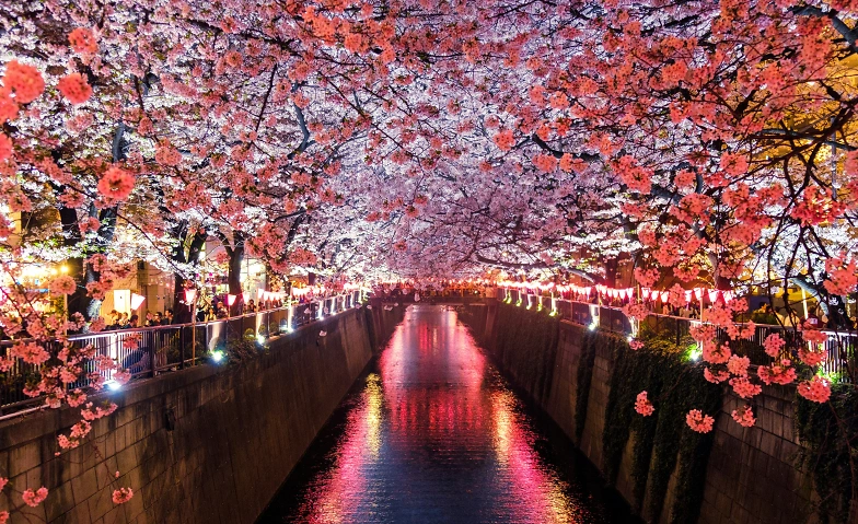 Japanisch schnuppern: Sprache &amp; Schrift Tickets