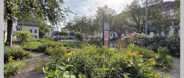 Event-Image for 'Jetzt den Garten bestaunen'