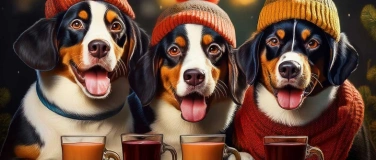 Event-Image for '100 Jahre Schweizerischer Klub für Entlebucher Sennenhunde'