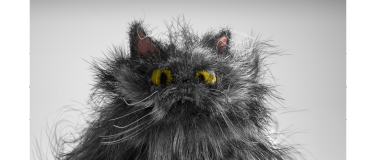 Event-Image for 'Kill Your Darlings'