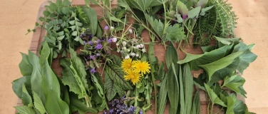 Event-Image for 'Kr&auml;uterwanderung mit veganem 3-Gang-Outdoor-Menu'