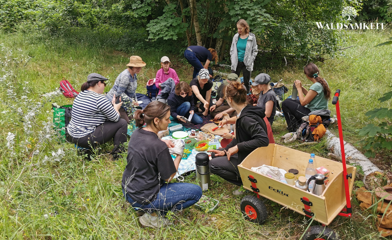 Kr&auml;uterwanderung mit Picknick Tickets