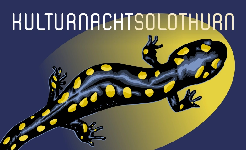 10. Kulturnacht Solothurn - die Jubiläumsausgabe Kulturnacht Solothurn, Oberer Winkel 2, 4500 Solothurn Tickets