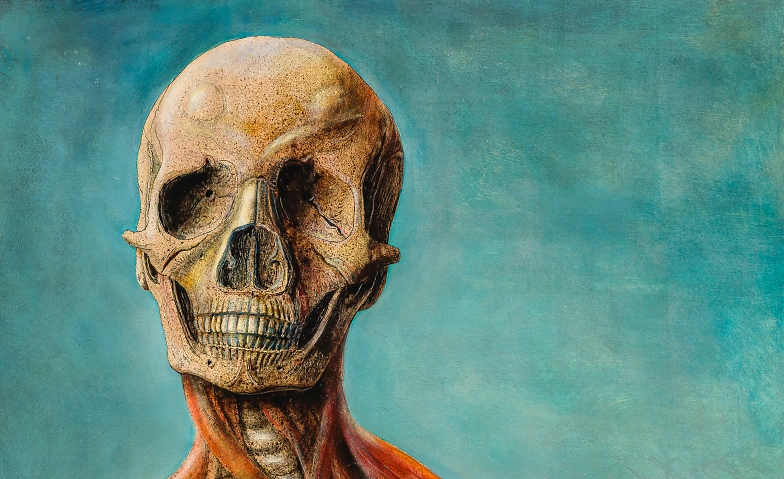 Kunst &uuml;ber Mittag: &laquo;Das L&auml;cheln&raquo; &ndash; Anatomie und Masken Tickets