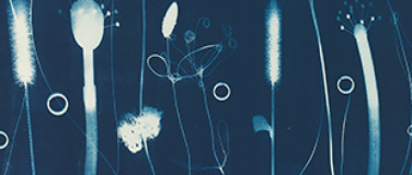 Event-Image for 'Kurt Dornig – Sommer'