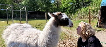 Veranstalter:in von Nordic Walking Kurs in Gelsenkirchen-Buer: Schloss Berge