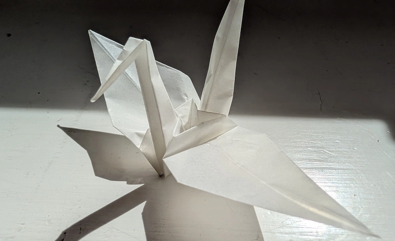 Event-Image for 'Schweigen und Falten. Papier und Pr&auml;senz'