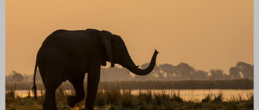 Event-Image for 'Live-Vortrag: Botswana und Namibia'