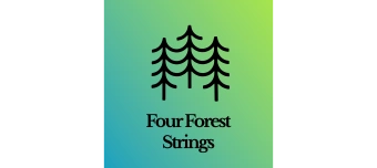 Veranstalter:in von Four Forest Strings & Simon Heggendorn: SATURATION