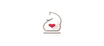 Event organiser of Chess for Charity
