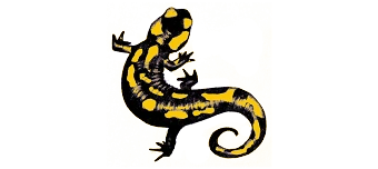 Veranstalter:in von Der Zauberwald Hattinger M&auml;rchenwald  das Original