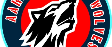 Event-Image for 'Handballcamp Girls Only - HSG AARELAND WOLVES'
