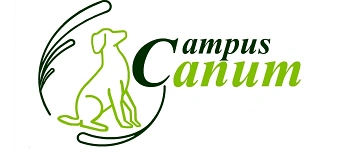 Event organiser of Jos&eacute; Arce Durch Struktur, Vertrauen,Klarheit und Sicherheit