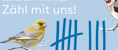 Event-Image for 'Stunde der Wintervögel - Zähl mit uns'