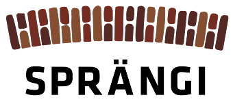 Event organiser of Silvesterparty in der Sprängi mit DJ Gabs