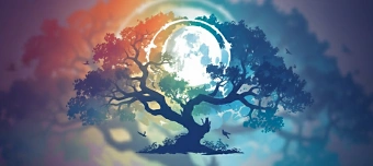 Event organiser of Chiron - deine Wunde, deine Kraft