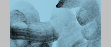 Event-Image for 'Luftschlösser - Camerata Variabile'