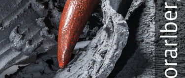 Event-Image for 'Maria Jansa &ndash; Die V&ouml;gel von Saporischschja'