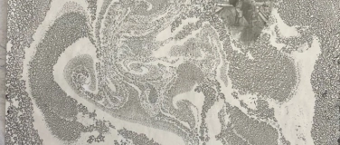 Event-Image for 'Er&ouml;ffnung der Ausstellung &laquo;Salon der Gegenwart. Innen und Au'