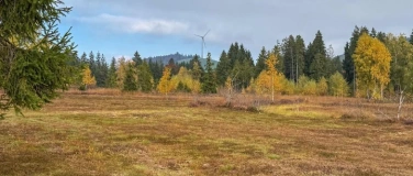 Event-Image for 'Vortrag: Die Moore der Schweiz und ihre Bedeutung f&uuml;rs Klima'