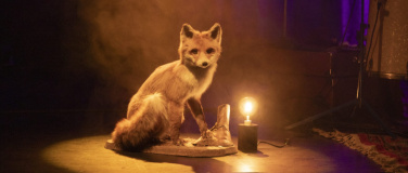 Event-Image for 'Molton-Abschieds-Festival'