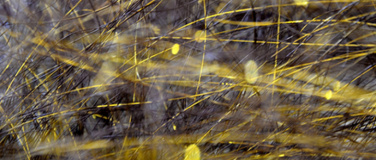 Event-Image for 'Monika Sup&eacute;: Linie Raum Zeit &ndash; Plastische Grafik'