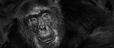 Event-Image for '9 Monochrom und Schwarzweiss  - L. Fischer'